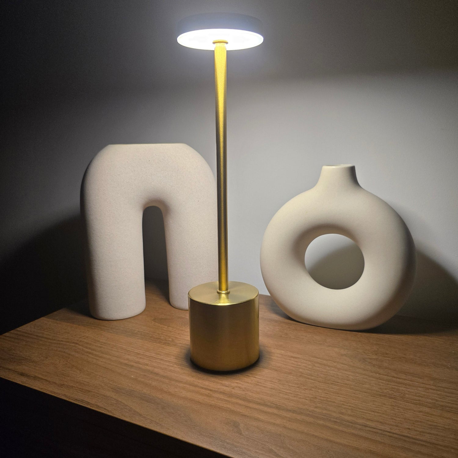 Touch LED Desk Lamp USB-C Charged