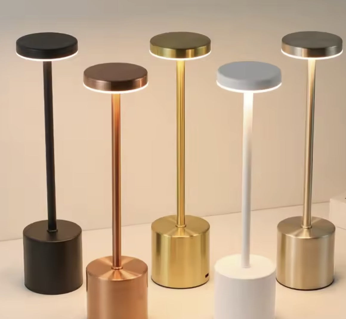 Touch LED Desk Lamp USB-C Charged