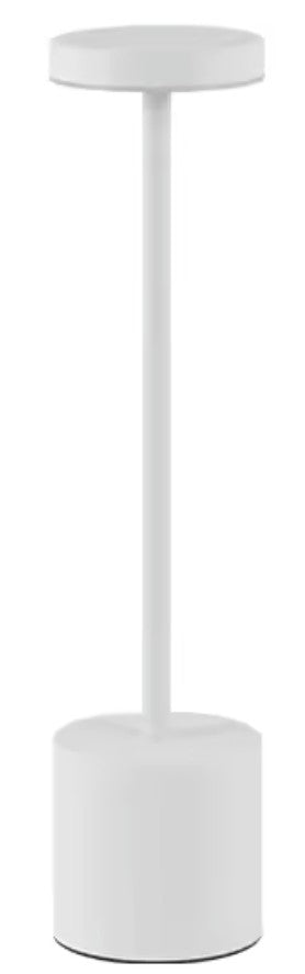 Touch LED Desk Lamp USB-C Charged